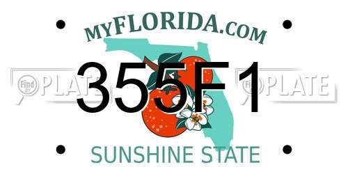 355F1 Florida License Plate