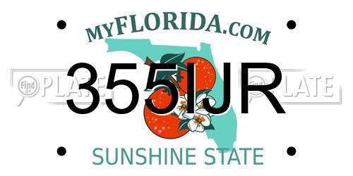 355IJR Florida License Plate