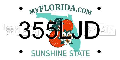 355LJD Florida License Plate