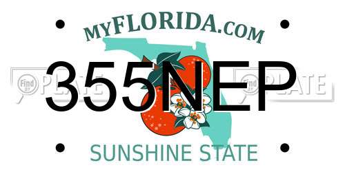 355NEP Florida License Plate