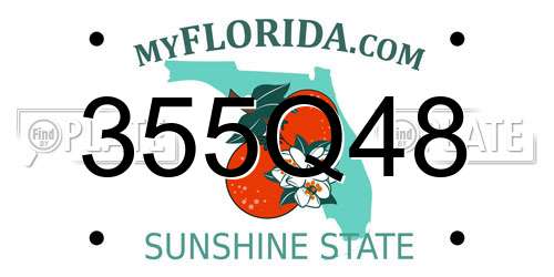 355Q48 Florida License Plate