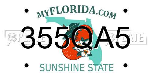 355QA5 Florida License Plate