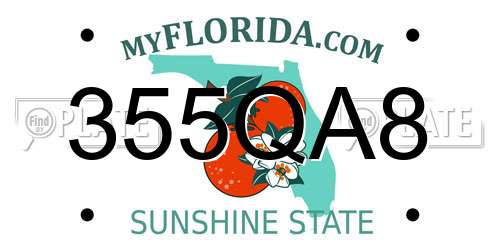 355QA8 Florida License Plate