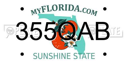 355QAB Florida License Plate
