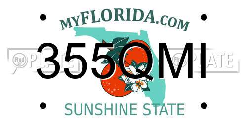 355QMI Florida License Plate