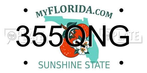 355QNG Florida License Plate