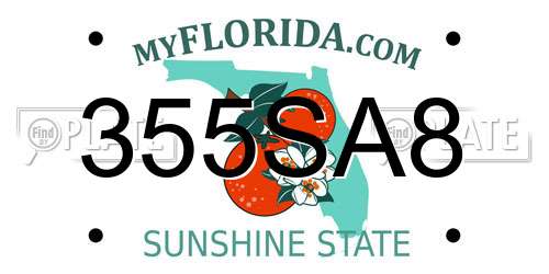 355SA8 Florida License Plate