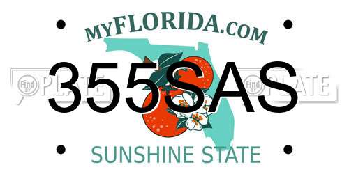 355SAS Florida License Plate