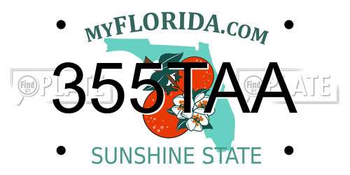 355TAA Florida License Plate