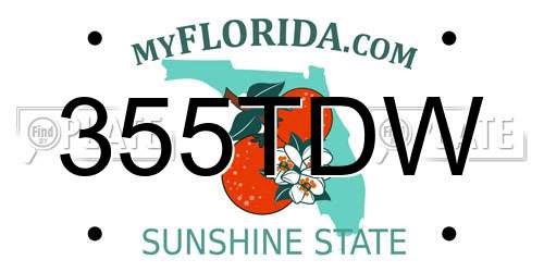 355TDW Florida License Plate