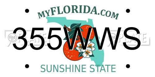 355WWS Florida License Plate