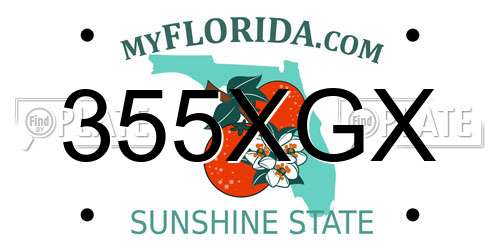 355XGX Florida License Plate