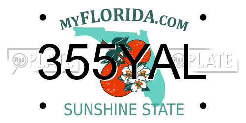 355YAL Florida License Plate