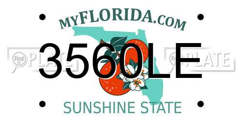 3560LE Florida License Plate