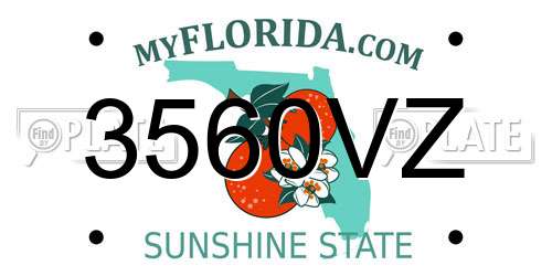 3560VZ Florida License Plate