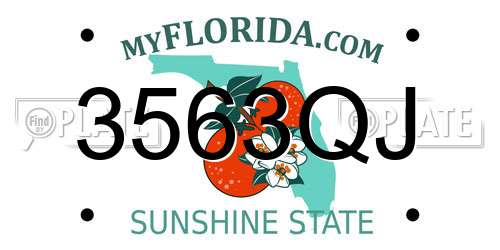 3563QJ Florida License Plate