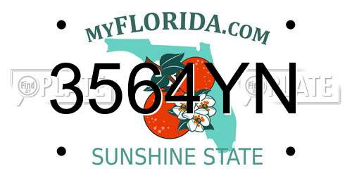 3564YN Florida License Plate