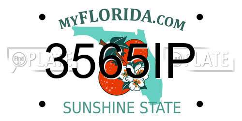 3565IP Florida License Plate