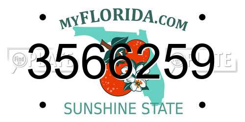 3566259 Florida License Plate