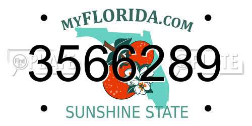 3566289 Florida License Plate