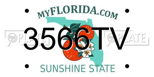 3566TV Florida License Plate