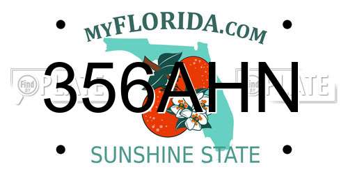 356AHN Florida License Plate