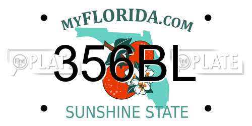 356BL Florida License Plate