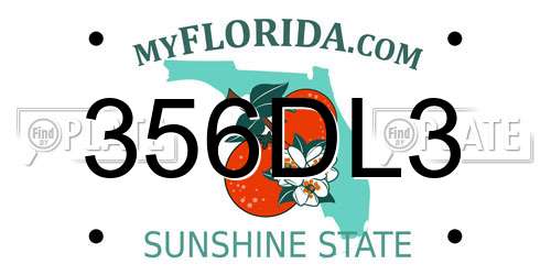 356DL3 Florida License Plate
