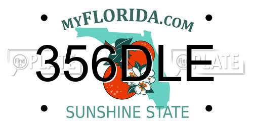 356DLE Florida License Plate