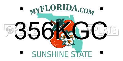 356KGC Florida License Plate