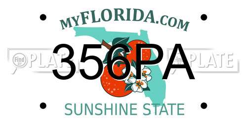 356PA Florida License Plate