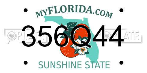 356Q44 Florida License Plate
