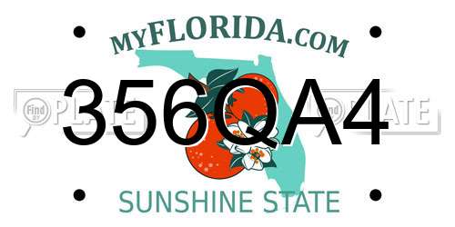 356QA4 Florida License Plate