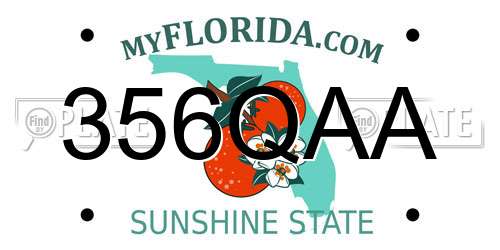 356QAA Florida License Plate