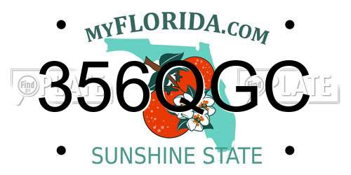 356QGC Florida License Plate