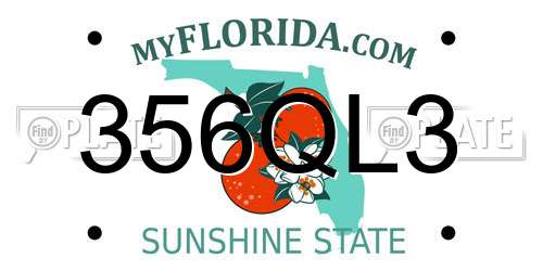 356QL3 Florida License Plate