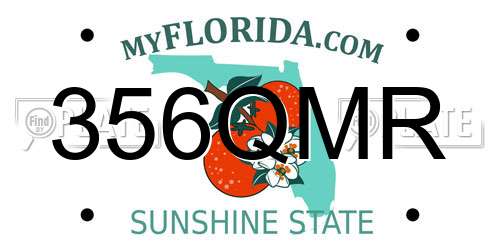 356QMR Florida License Plate