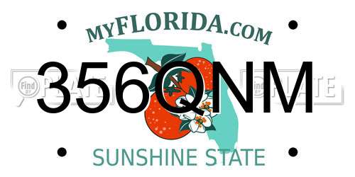 356QNM Florida License Plate