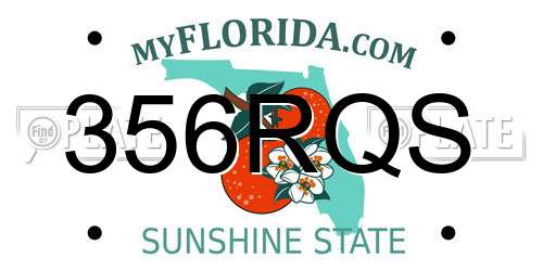 356RQS Florida License Plate
