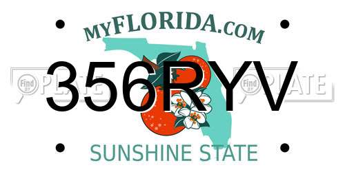356RYV Florida License Plate