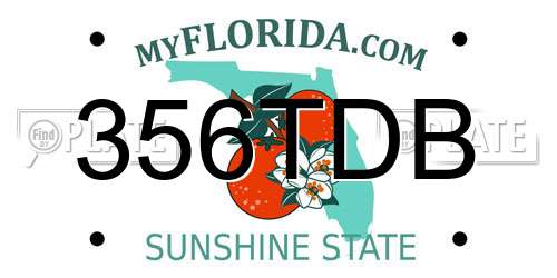 356TDB Florida License Plate