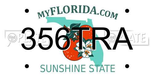356TRA Florida License Plate