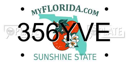 356YVE Florida License Plate