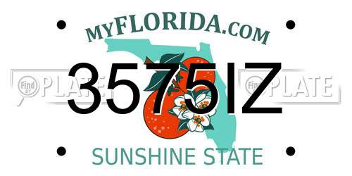 3575IZ Florida License Plate