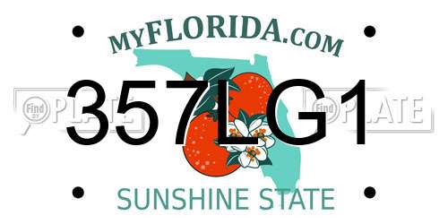 357LG1 Florida License Plate