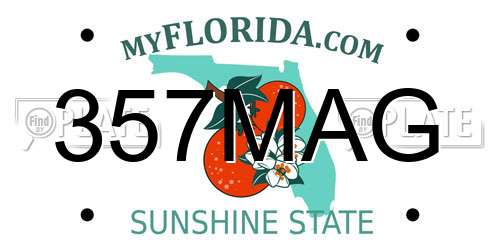 357MAG Florida License Plate