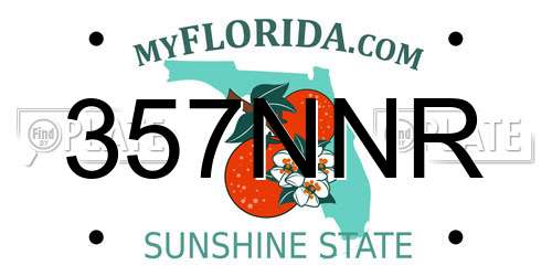 357NNR Florida License Plate