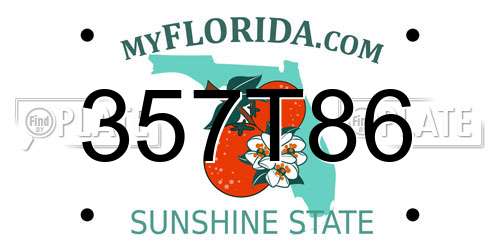 357T86 Florida License Plate