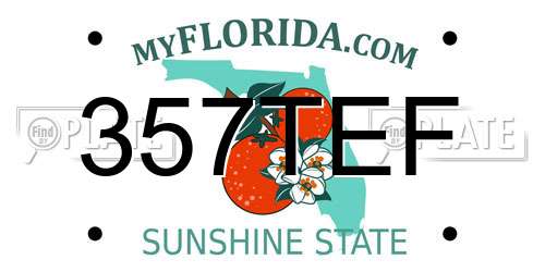 357TEF Florida License Plate