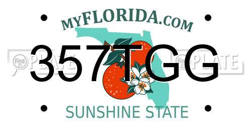 357TGG Florida License Plate